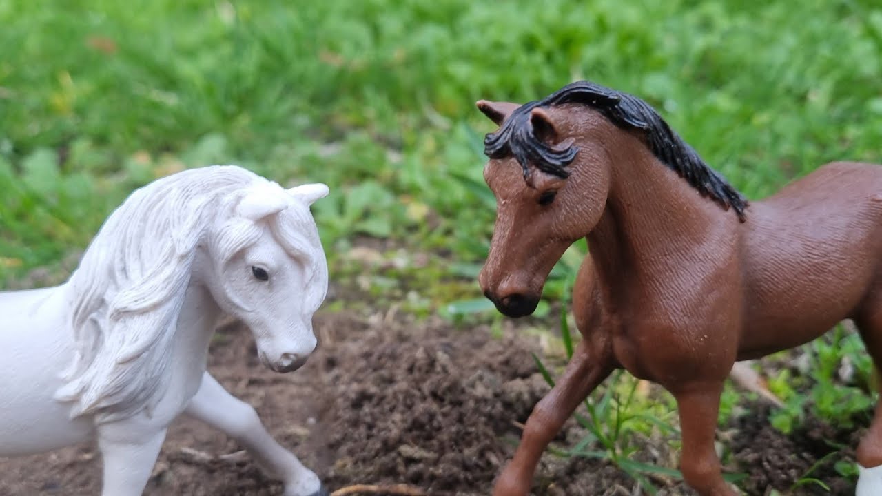 NEUES HERDENMITGLIED? // Die bunte Herde Folge 7🤍🐴
