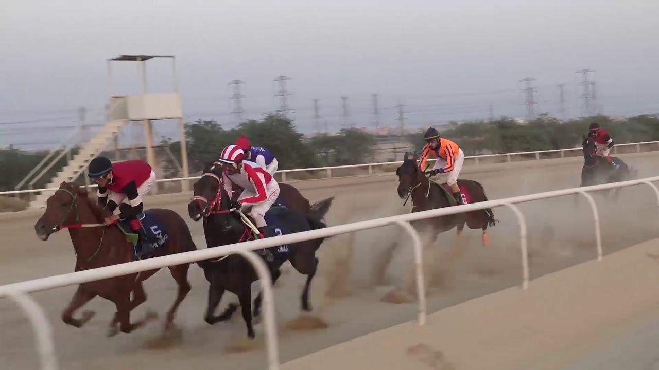 الفائز بالشوط الخامس # الجواد ابو ذعار   اسطبل خالد العتيبى