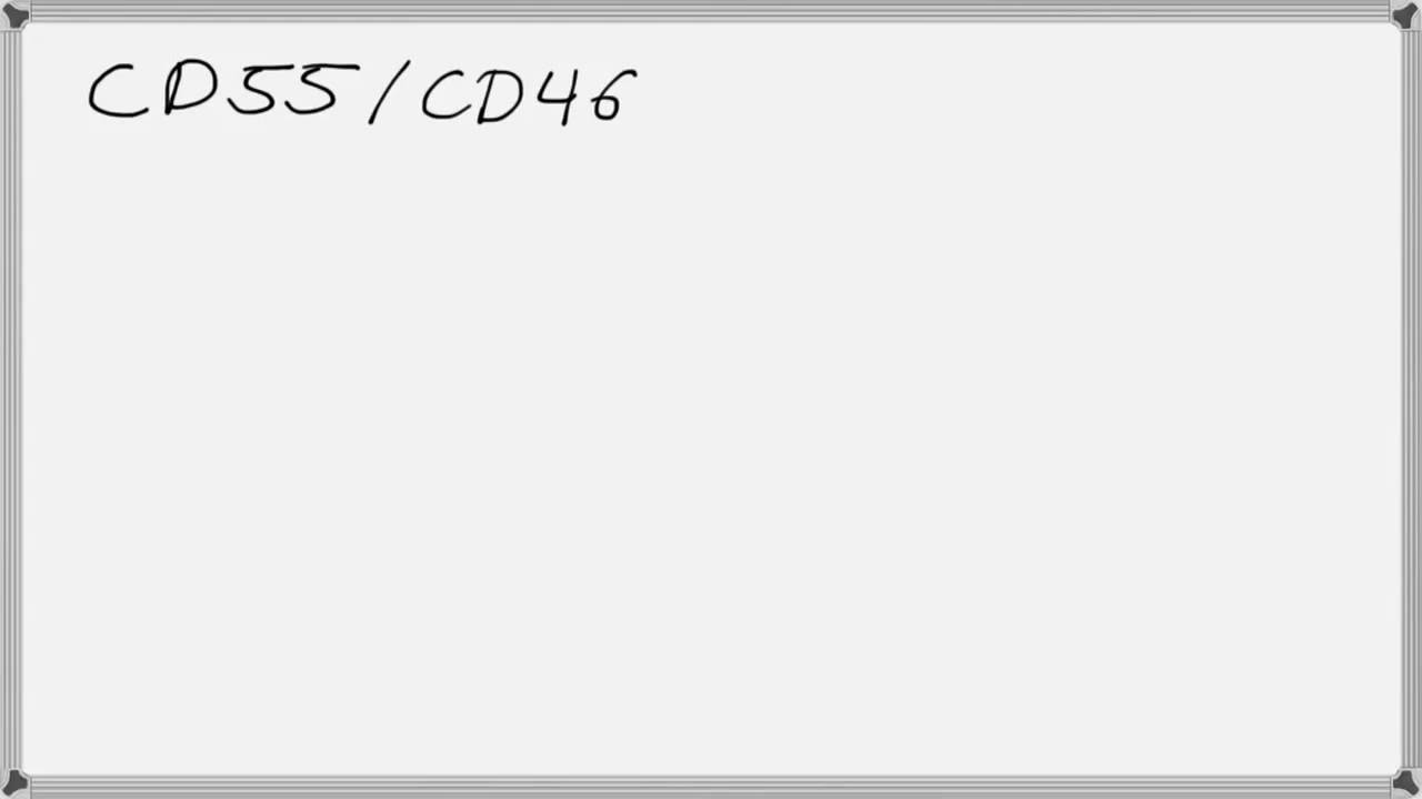 Biochemie 7 - Immunsystem Teil 3.2 Komplementsystem II
