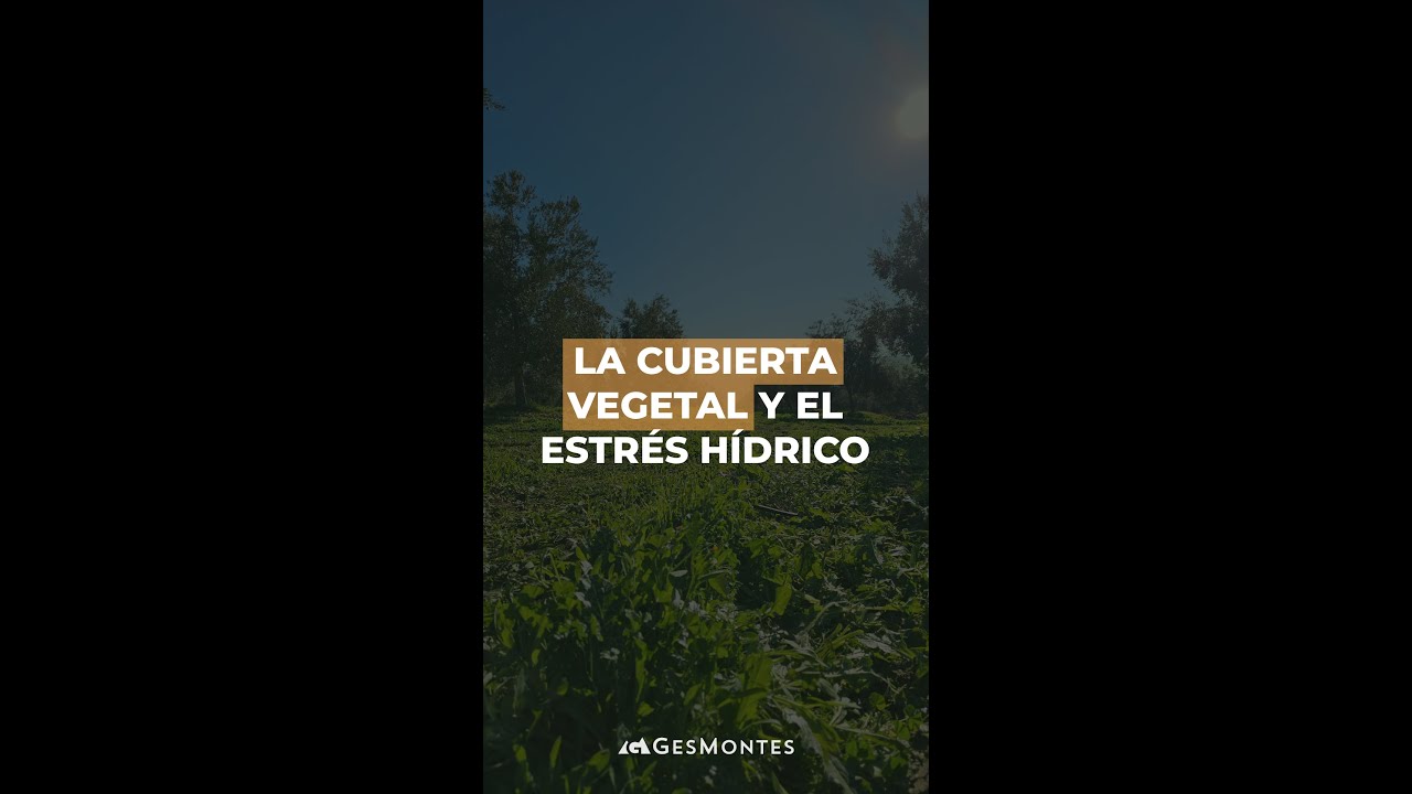 La Cubierta Vegetal y el Estr&eacute;s H&iacute;drico