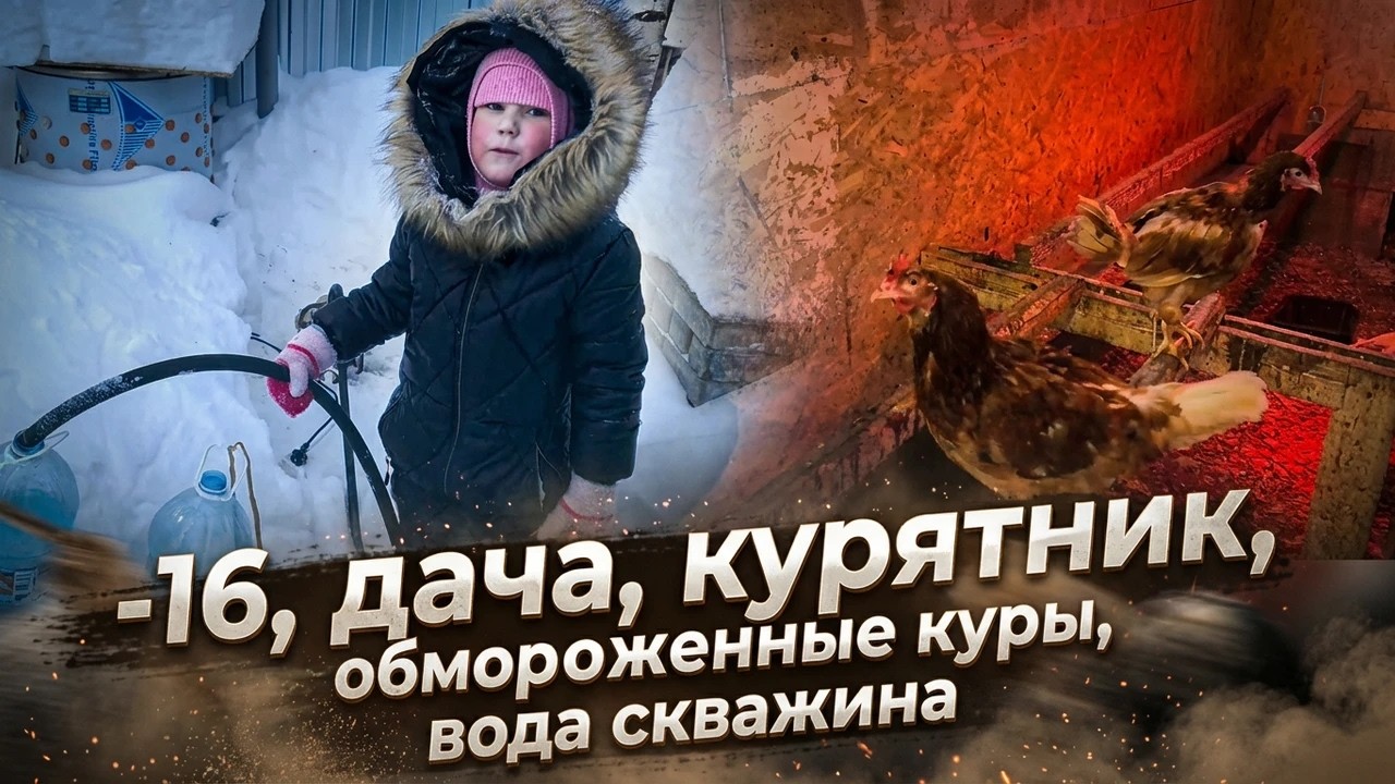 -16, дача, курятник, вода))