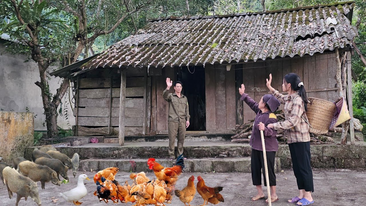The policeman needs to sell the house.Will the grandmother and grandchild have to be homeless again?