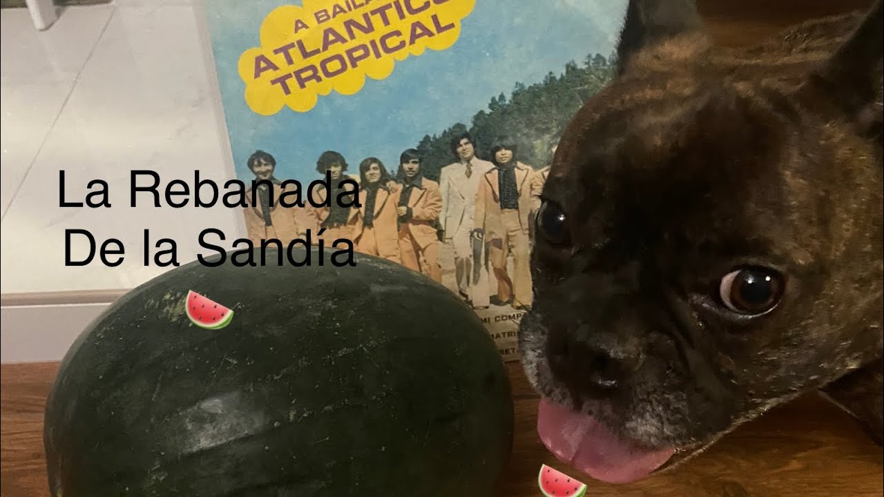 🌴Atlántico Tropical 🍉La Rebanada De La Sandia🍉