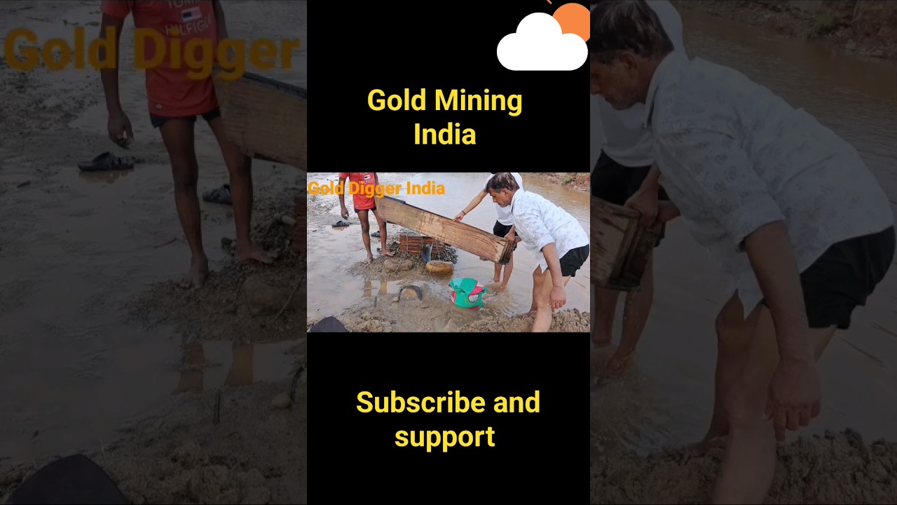 Gold Mining in india 🇮🇳 Golden River 8 #gold #shorts @golddiggerindia