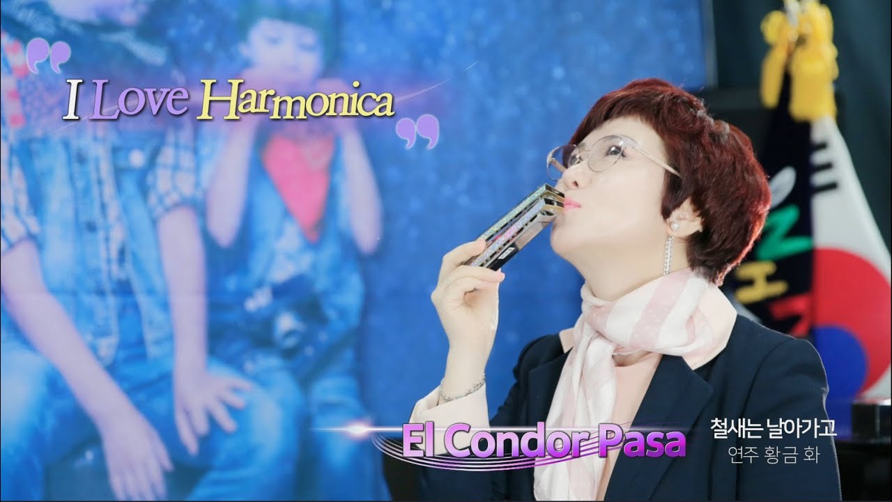 [하모니카] 황금화 (El Condor PASA) 철새는 날아가고 시연