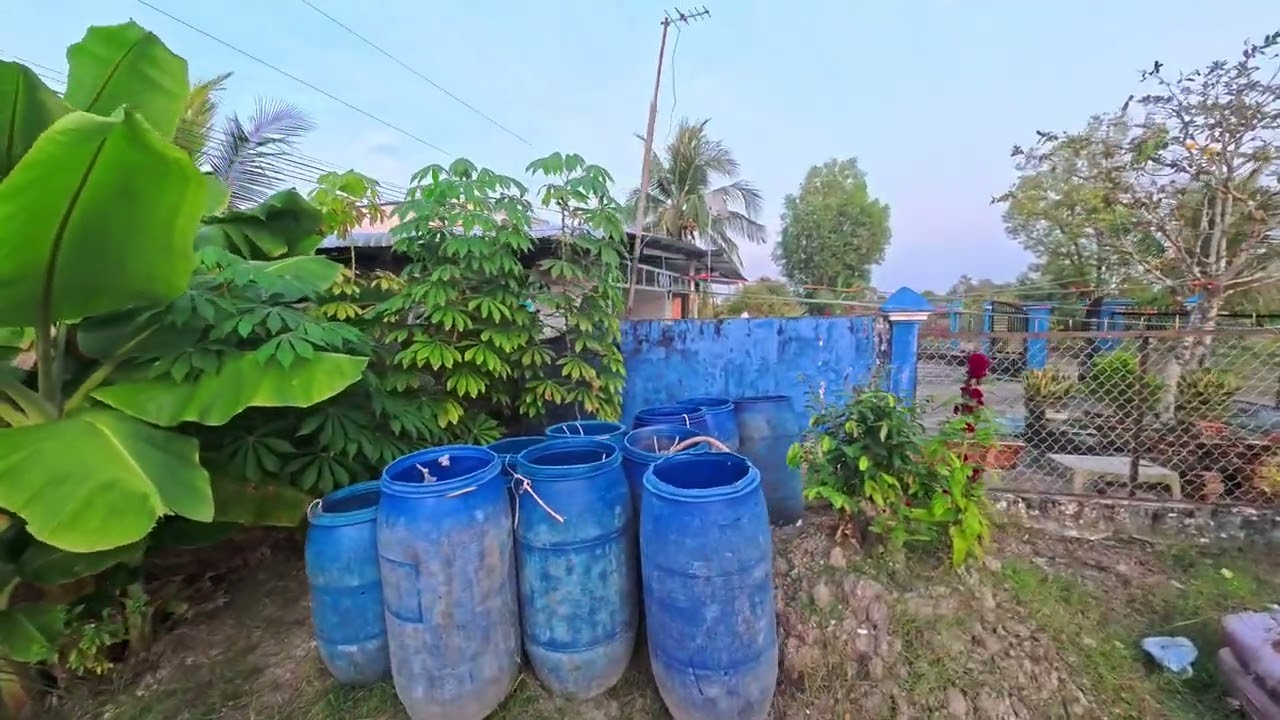 Cổng rào cũ ở nhà năm 2025