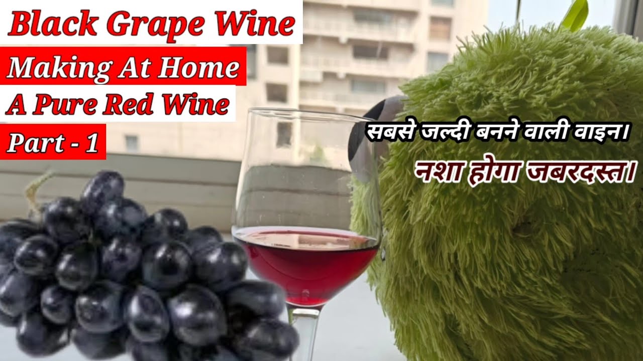 Pure Red Wine From Black Grapes // सबसे जल्दी बनने वाली वाइन।