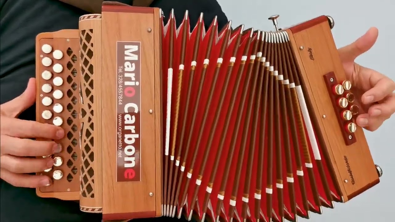 8 Bassi -  SONORA - Mazurca - Brano - Accordion diatonic Organetto -