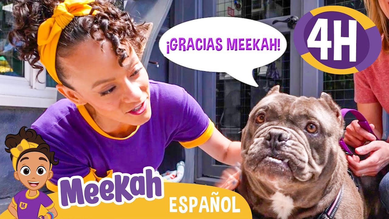 Día animal con Meekah en la fundación Lange! 🐾❤️ | 💜¡Hola Meekah!💜Amigos de Blippi