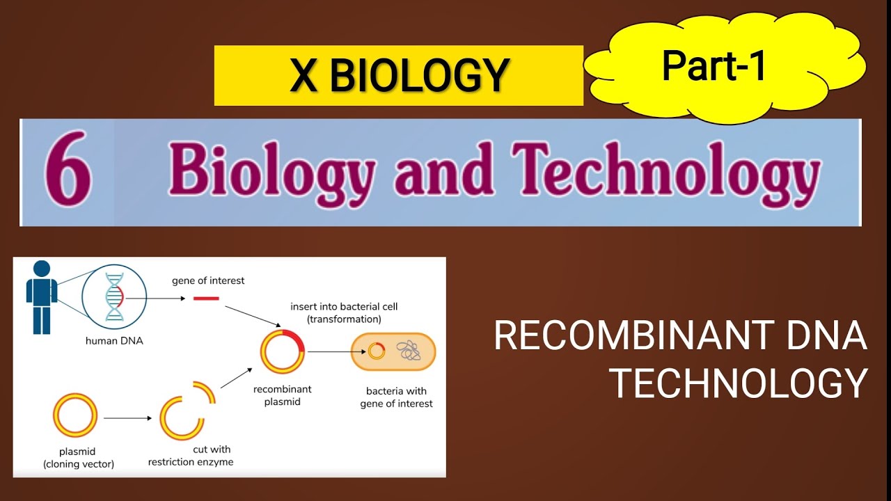 Biology and Technology SSLC biology  chapter6 newtextbook class10  Part1  Recombinant DNA Technology