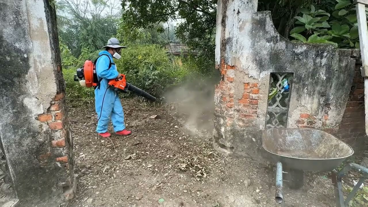 Extreme clean up Overgrown yard cleared, abandoned home fully transformed