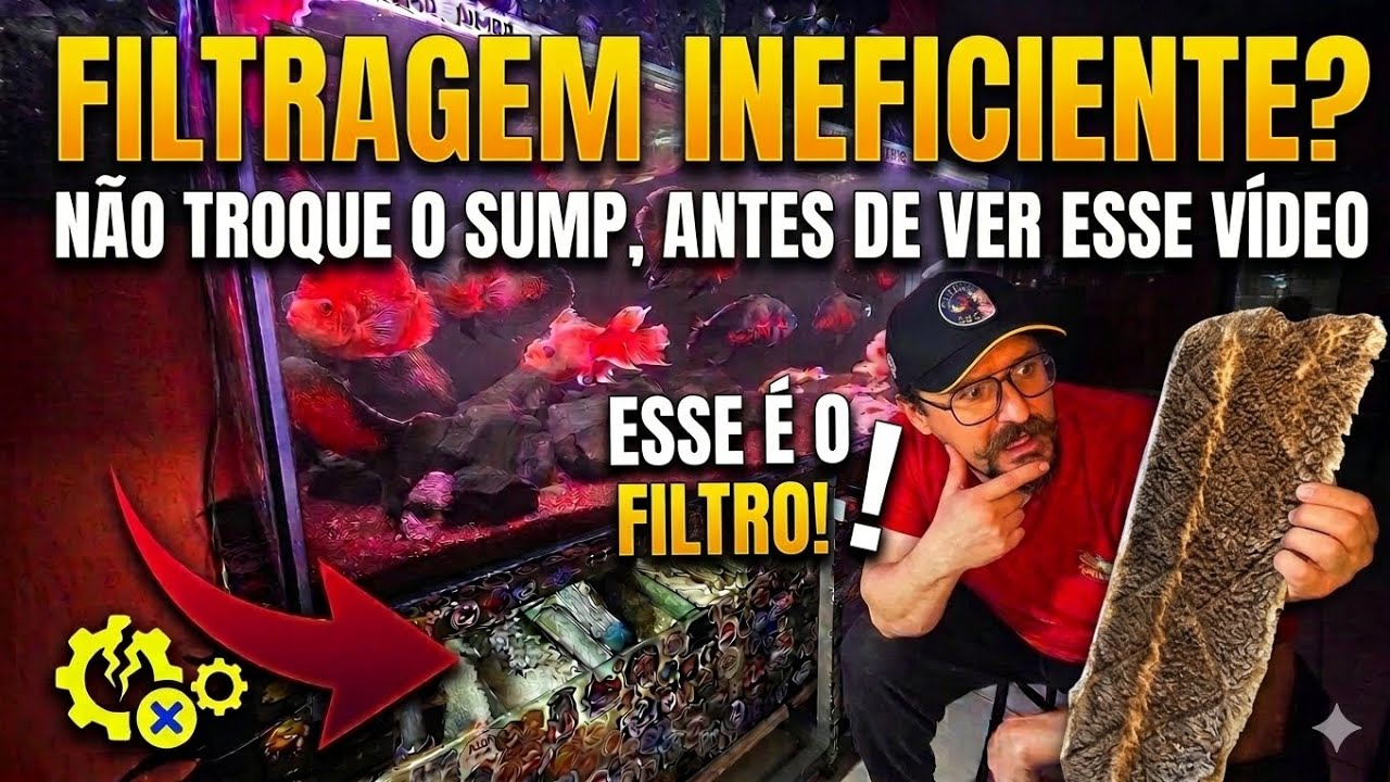 SEU SUMP TEM SOLUÇÃO, SUA FILTRAGEM SÓ PRECISA DEU UM UPGRADE!