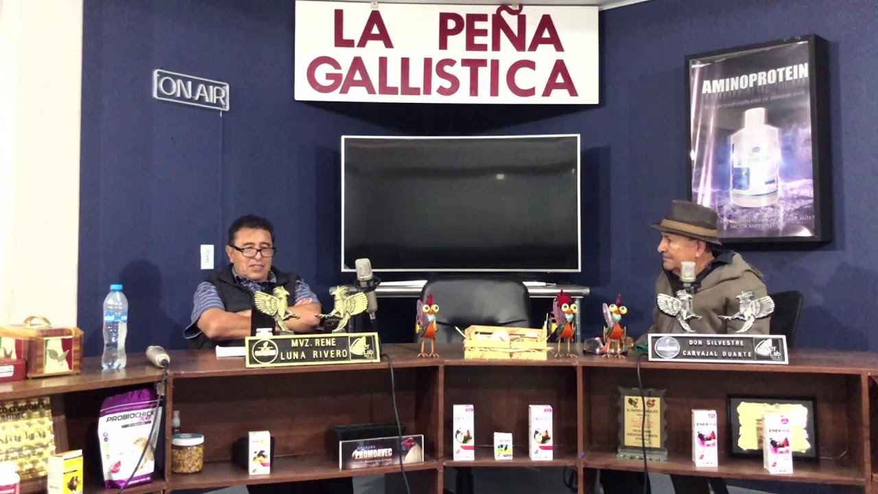 PROGRAMA 782 -  LA PEÑA GALLISTICA