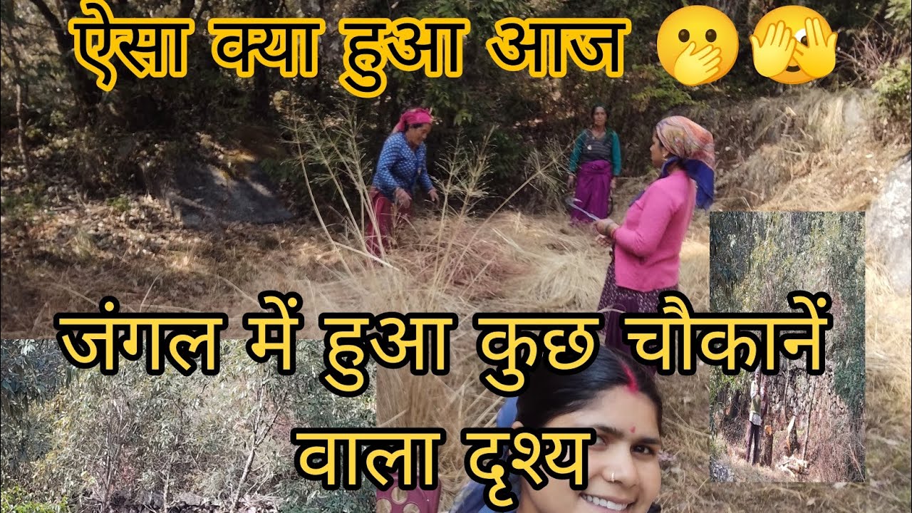 #uttrakhand #pahadilifestylevlogcoolpahadi जंगल में ऐसा ऐसा क्या हुआ 🫢🫣