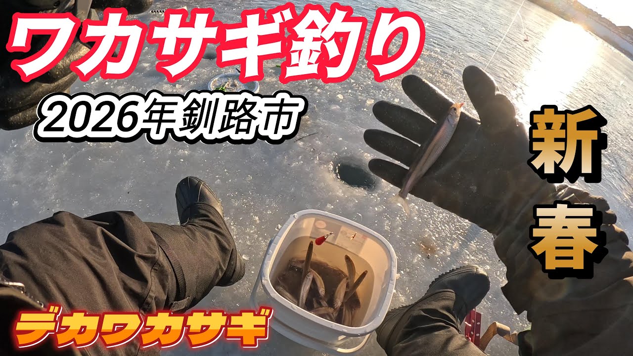 新年初釣り〜ワカサギ釣り　北海道釧路市　ここのワカサギ　デカ過ぎる！