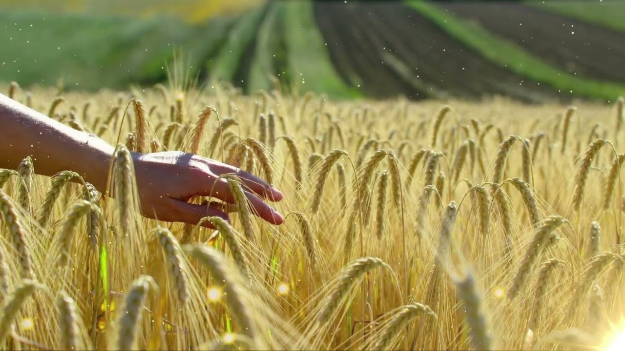 We Are Free — Deep House Remix | Cinematic Mix 2025