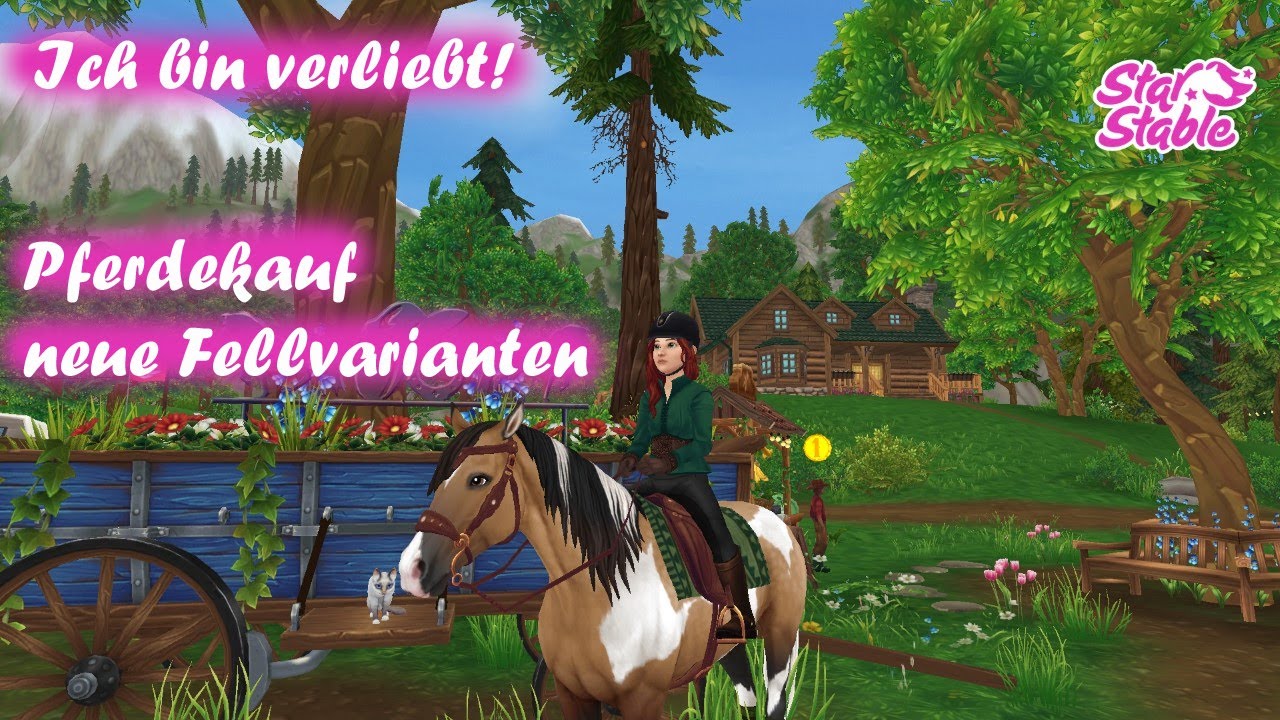 SSO 🦄 Ich bin verliebt! 😍 Pferdekauf neue Fellvarianten