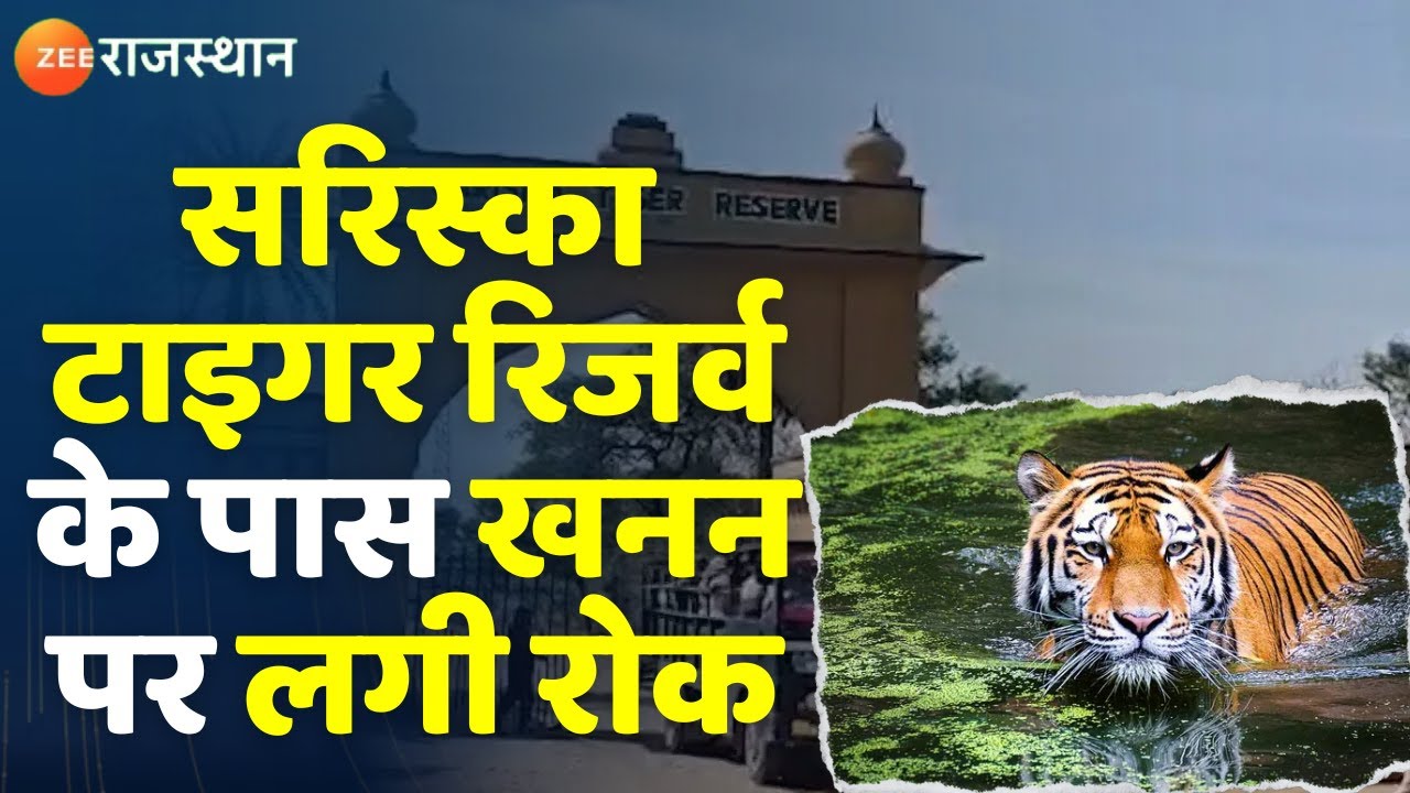 Supreme Court का बड़ा फैसला, Sariska Tiger Reserve के 1KM के दायरे में खनन पर | Breaking News