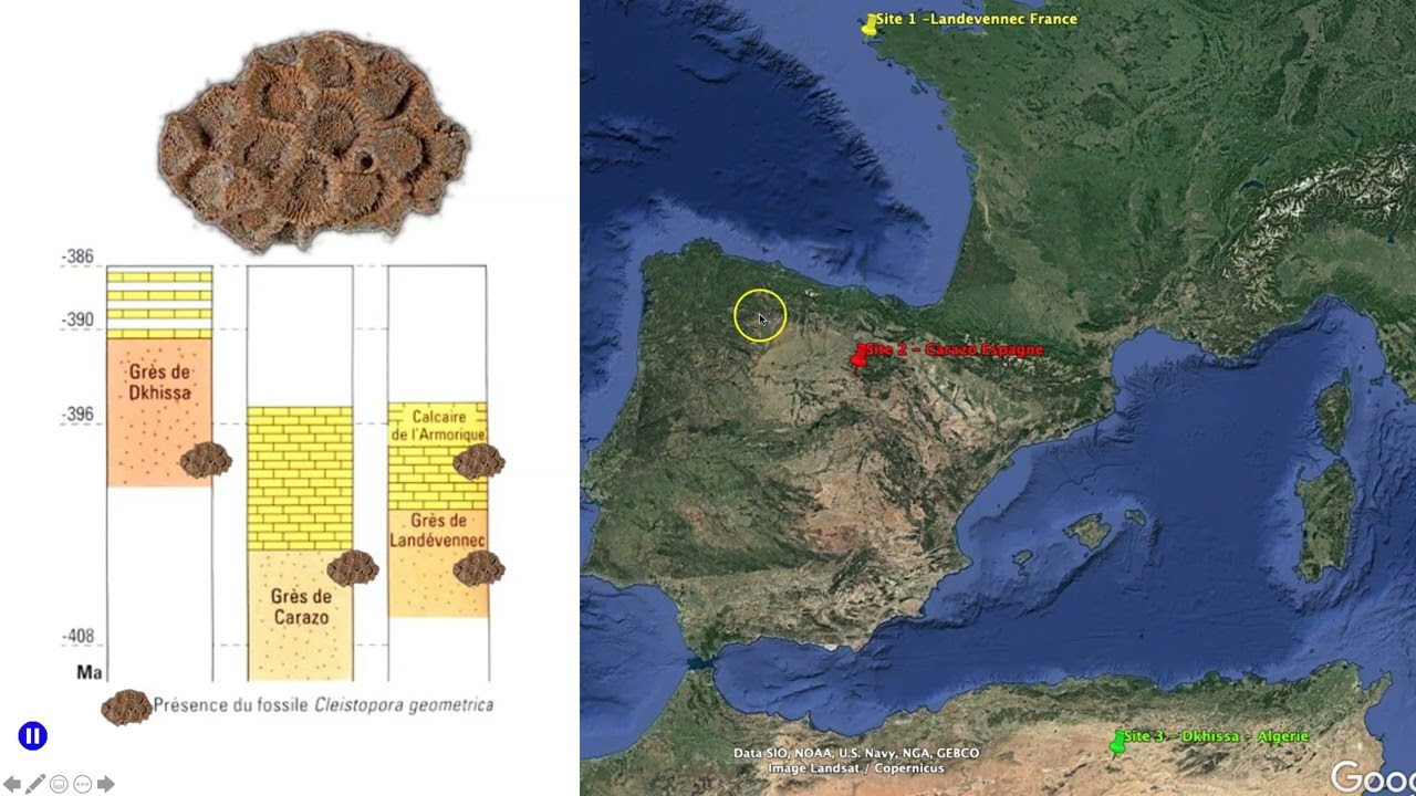 Fossiles stratigraphiques et Datation relative