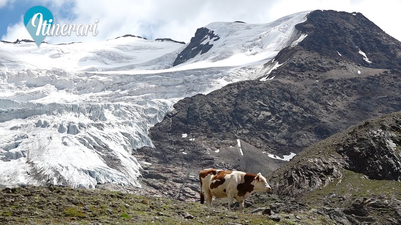 ITINERARI: LA VALLE DEI FORNI, IL GHIACCIAIO DEI FORNI