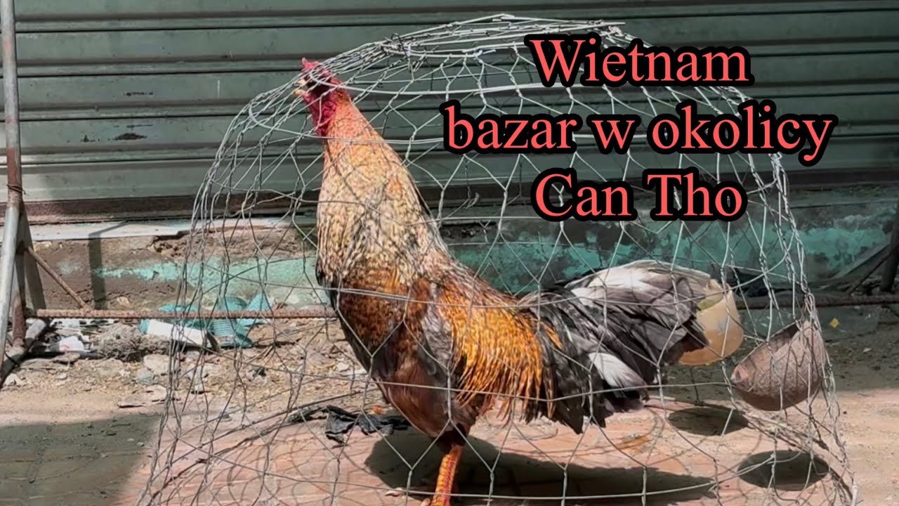 Wietnam, Can Tho - bazar