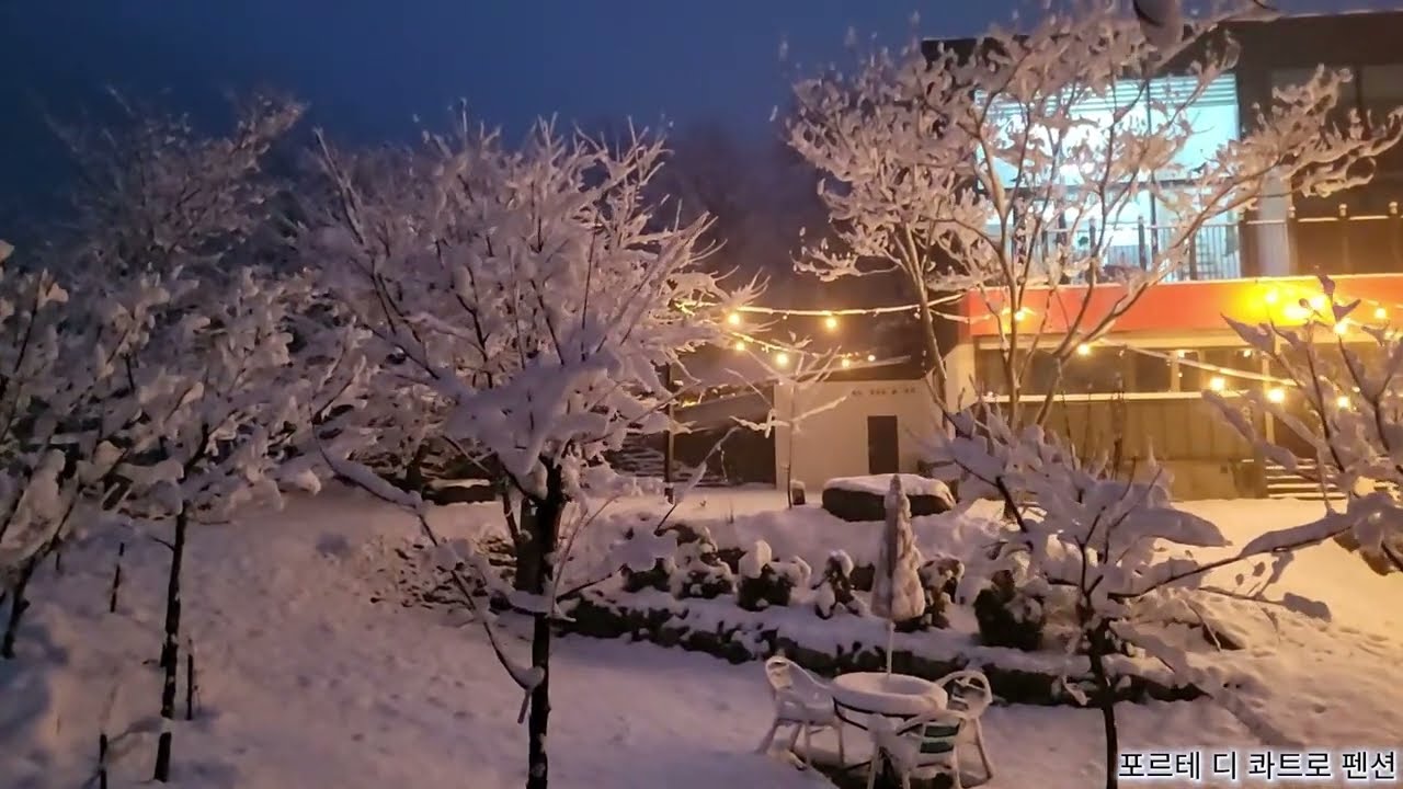가야산 계곡 품은 숲뷰 감성스테이 - 포르테디콰트로 펜션(2026년 2월 24일 풍경) #포르테디콰트로펜션 #눈발자국소리 #눈꽃구경 #눈사람만들기 #성주가볼만한곳