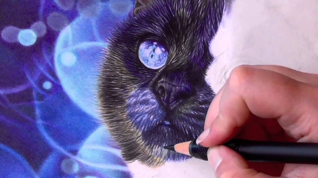 how to draw black fur with colored pencils