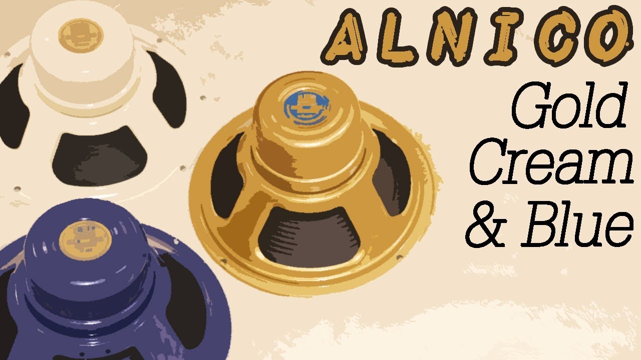 Celestion Alnico Shootout: Gold, Cream и Blue (в Dr Z DB4)