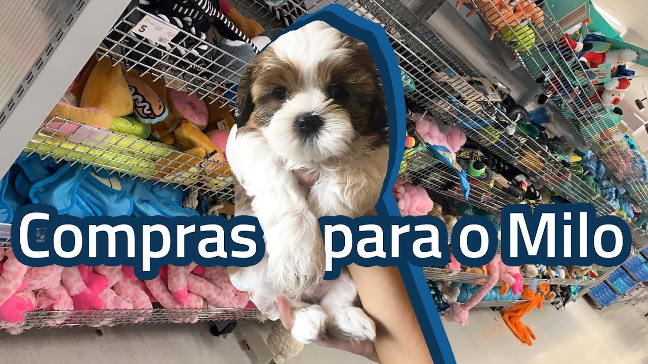 COMPRAS e ENXOVAL DE CACHORRO na Austrália para a chegada do MILO!