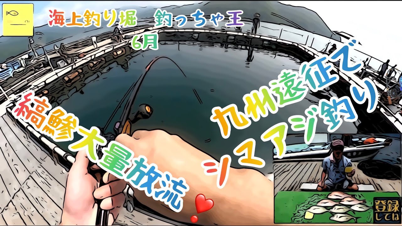 海上釣り堀　釣っちゃ王６月　後編　九州遠征でシマアジ釣り　縞鯵大量放流❣️