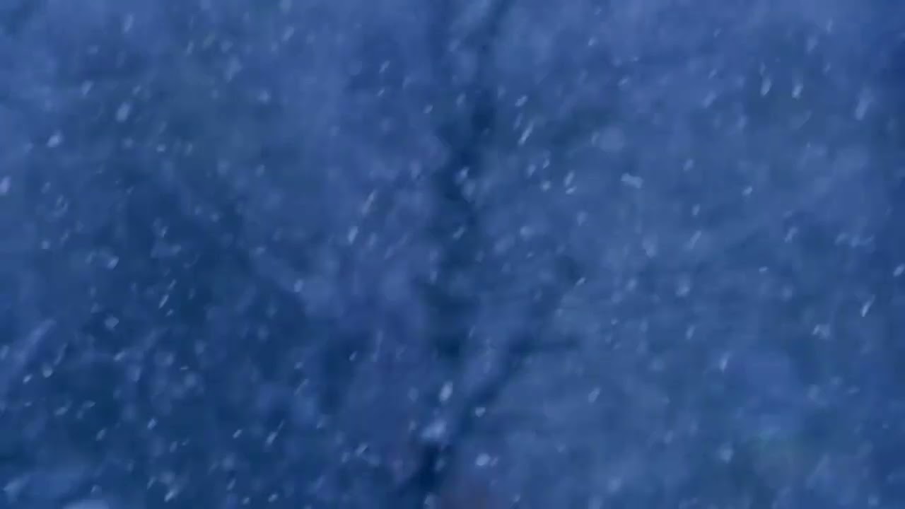 Снежная буря, завывающий арктический ветер ❄💨 Расслабляющий и успокаивающий звук • ACMP Белый шум