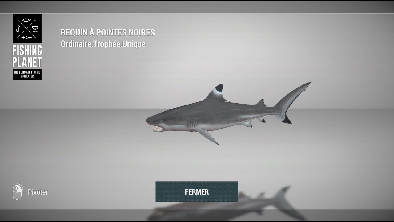 Fishing Planet, mission Épreuve dentaire, et petit déjeuner sous les palmiers, aux Maldives,