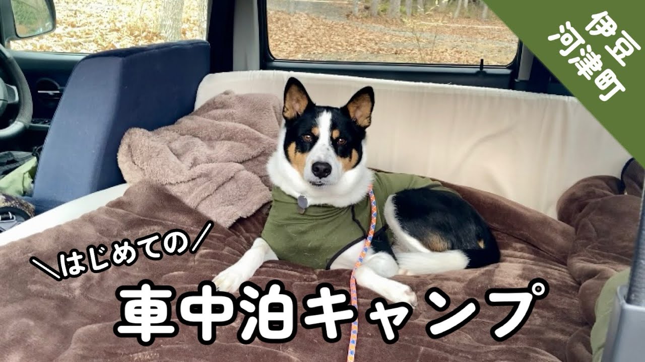 【伊豆 河津】軽自動車で初めての車中泊キャンプ