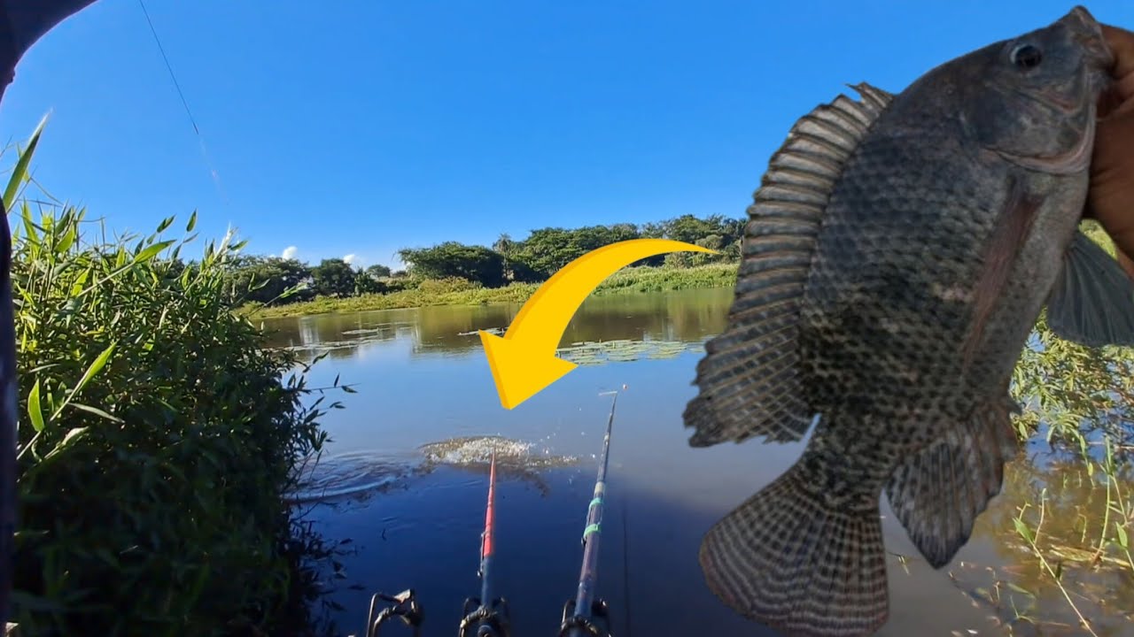 NESSE AÇUDE ABANDONADO SÓ PEGA AS BRUTAS,  VOCÊ VAI QUERER PESCAR AQUI!