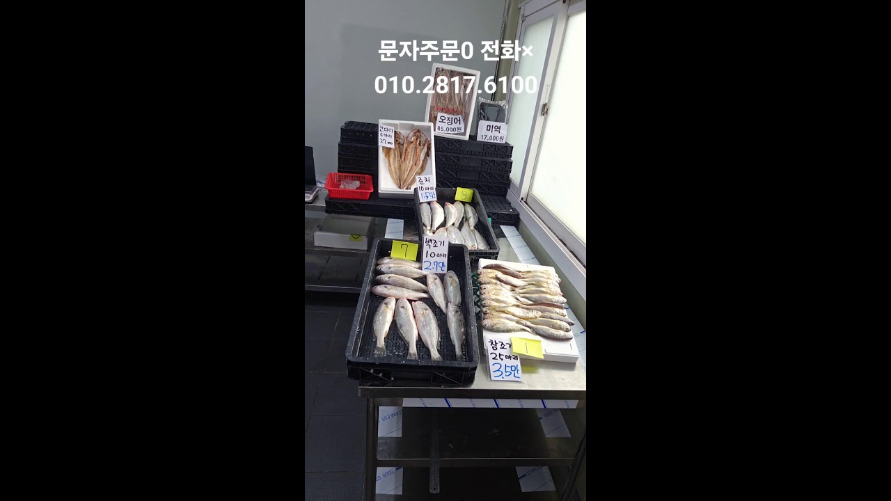 목포백억수산#잡어초특가