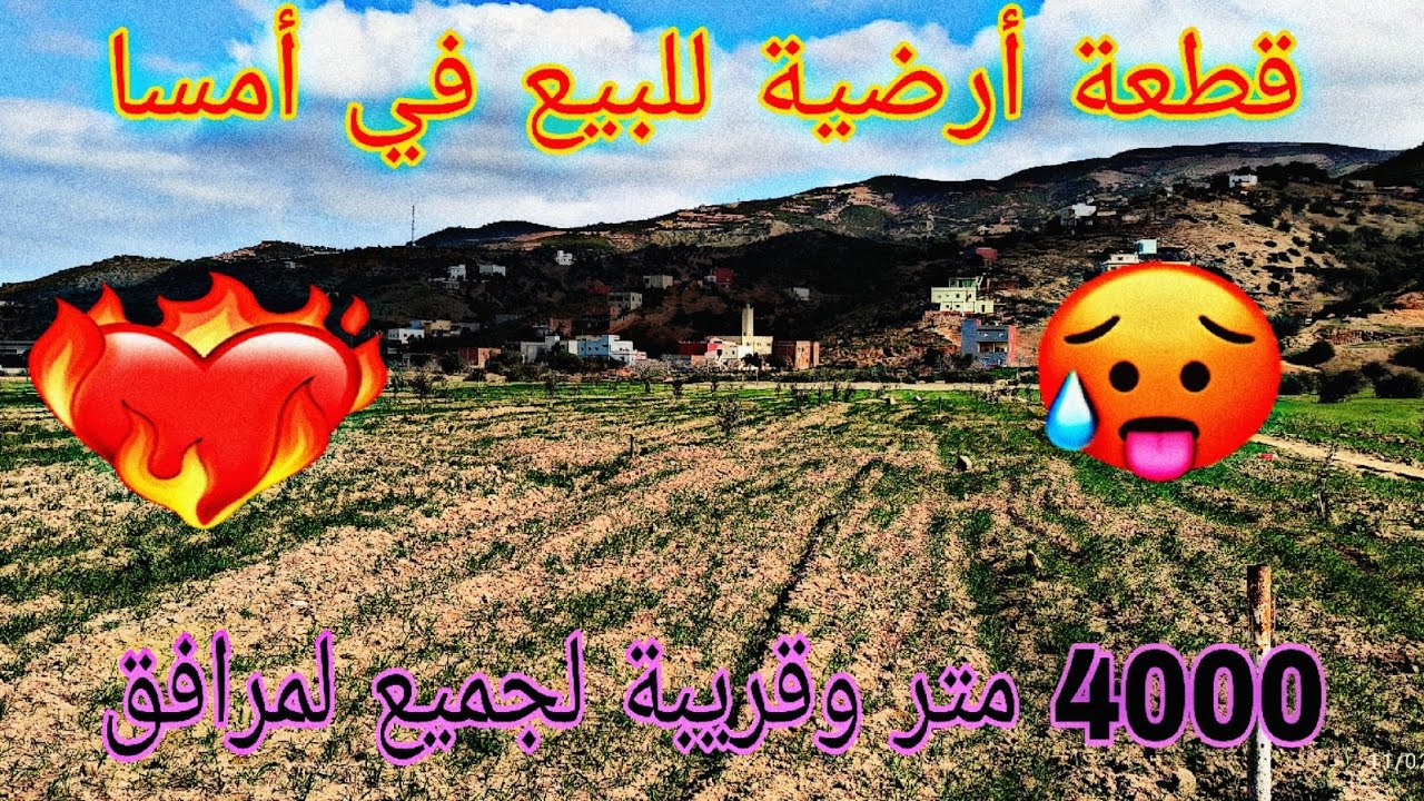 قطعة أرضية للبيع في أمسا 🤩 قريبة لجميع المرافق بثمن ... 😋 4000 متر مغروسة بزيتون 🌲 0699689101
