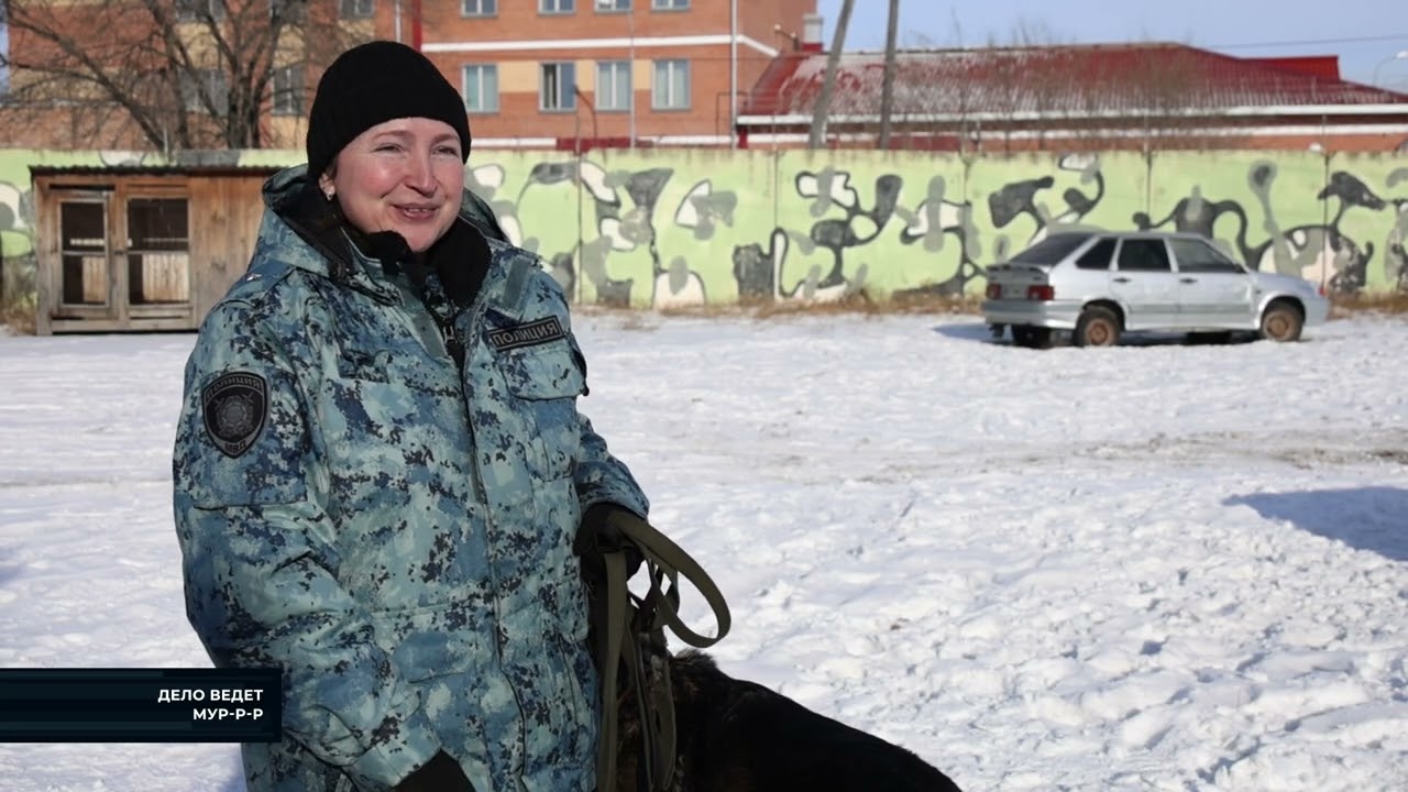 Хвостатые стражи порядка - в программе 