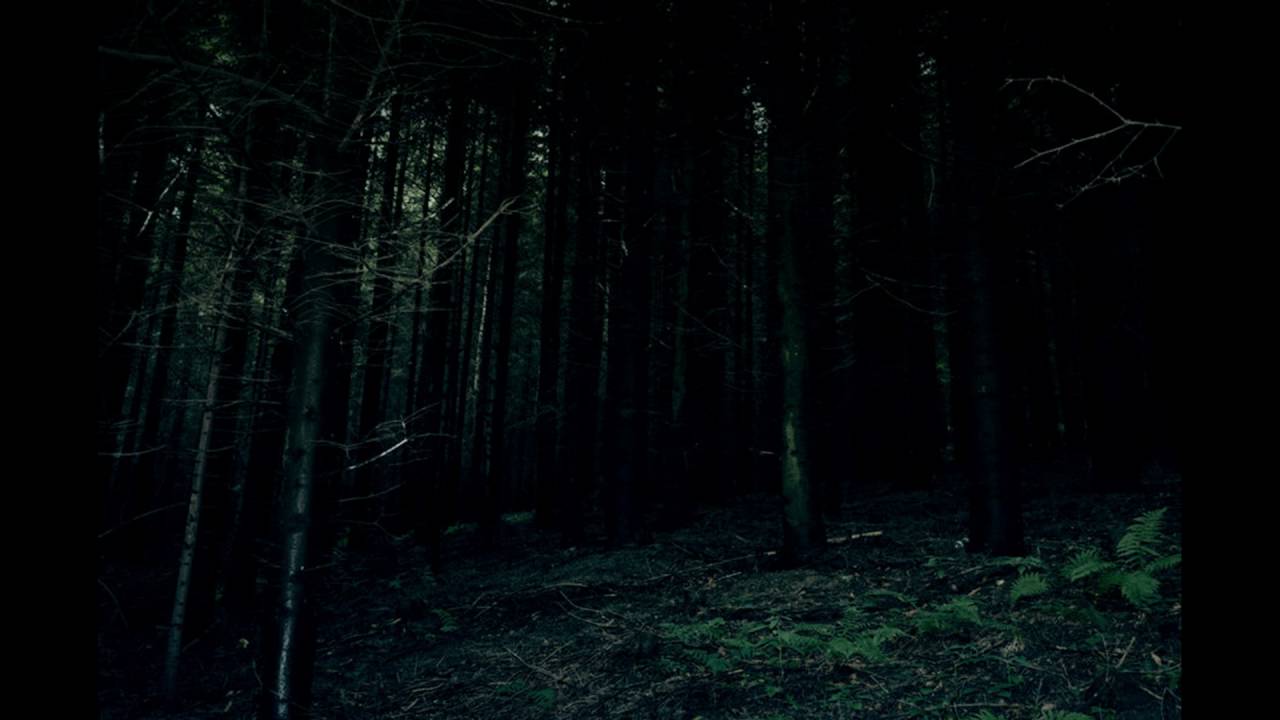 T Y R A N T &middot; River Bones