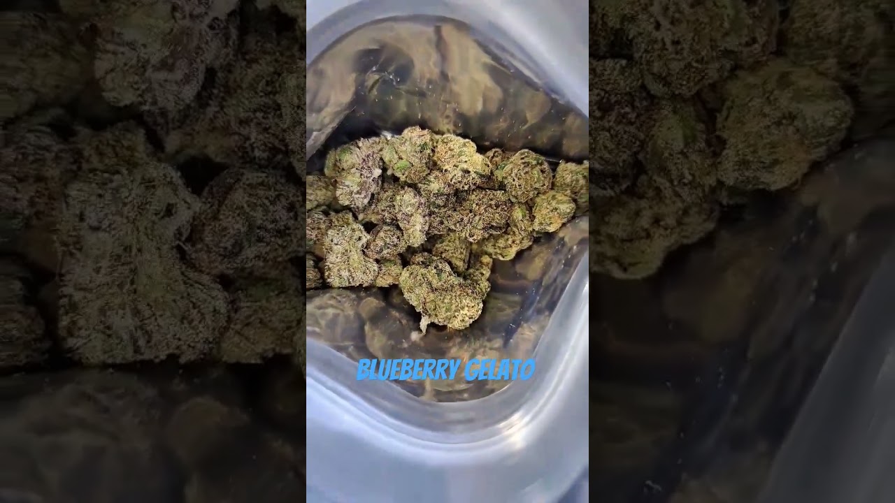 Blueberry gelato from the backpackboyz #California #Losangeles #gelato #Blueberry #gas #flavor