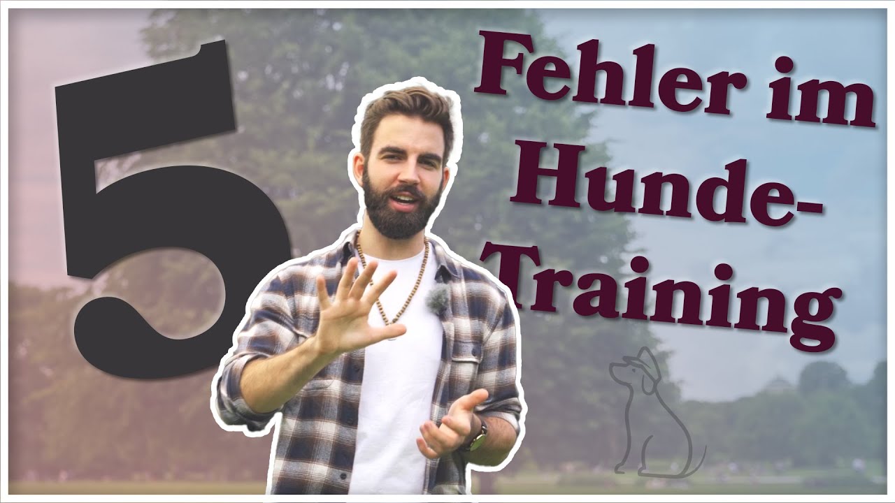 Die 5 häufigsten FEHLER in der Hundeerziehung - Tipps und Tricks für Hundehalter