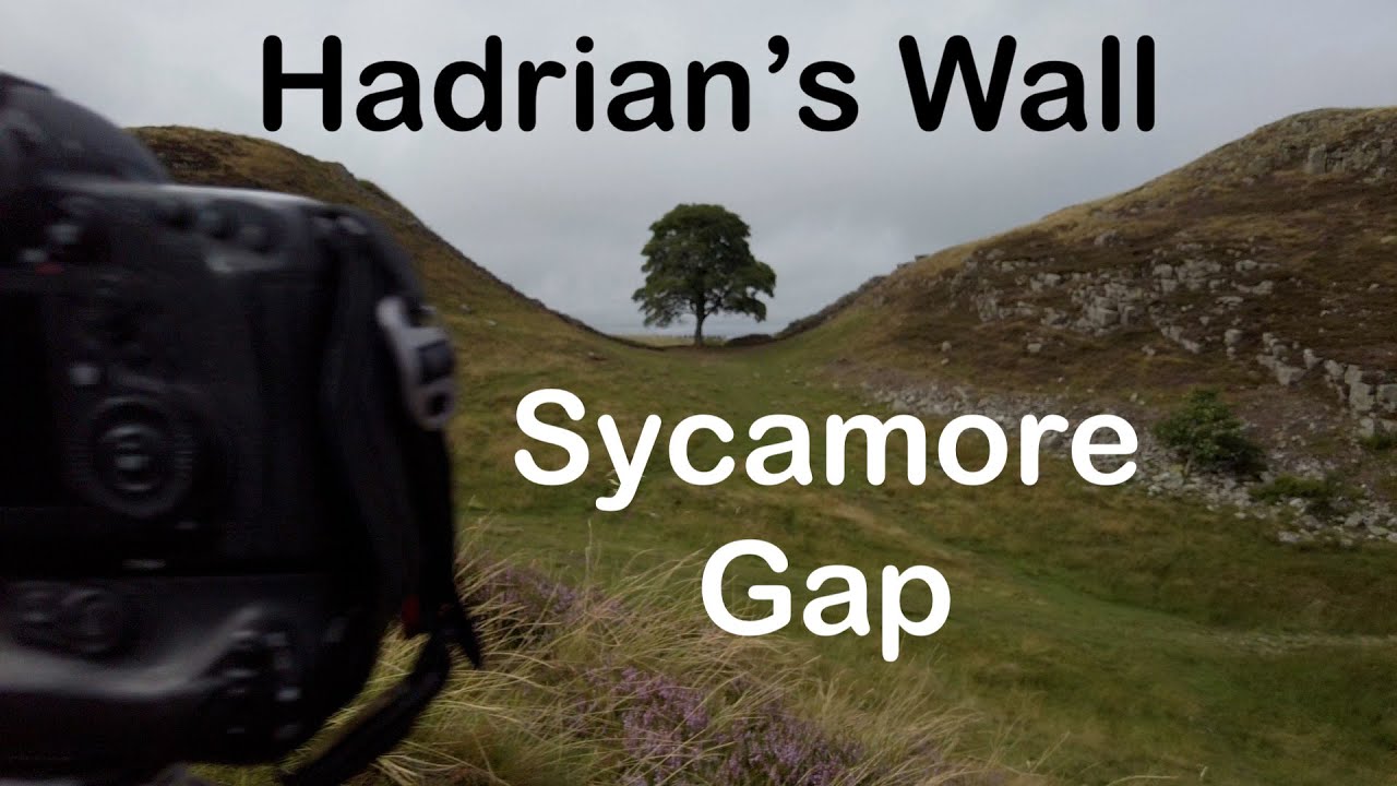 Sycamore Gap on Hadrian's Wall - Landscape Photography