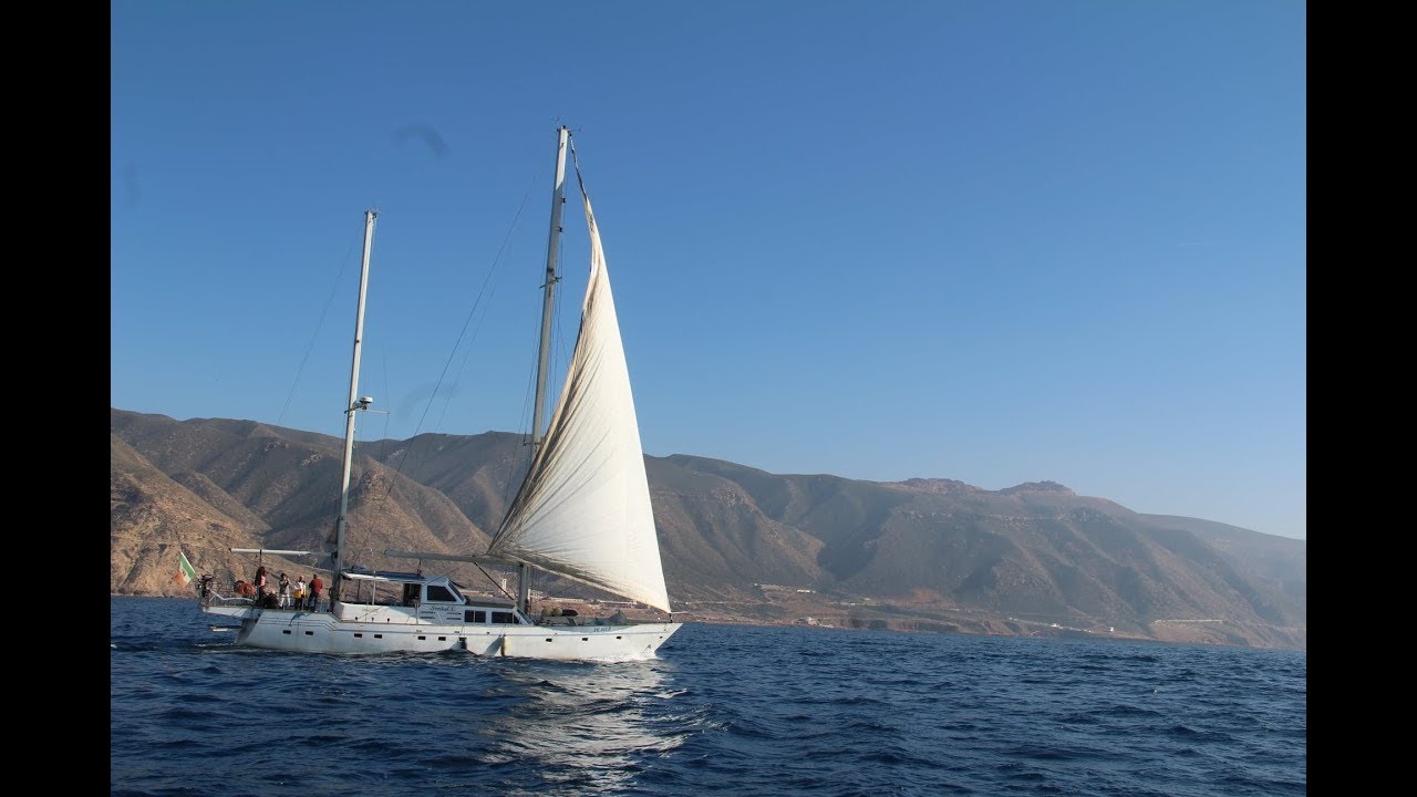 Balade au cap de l'aiguille, Oran