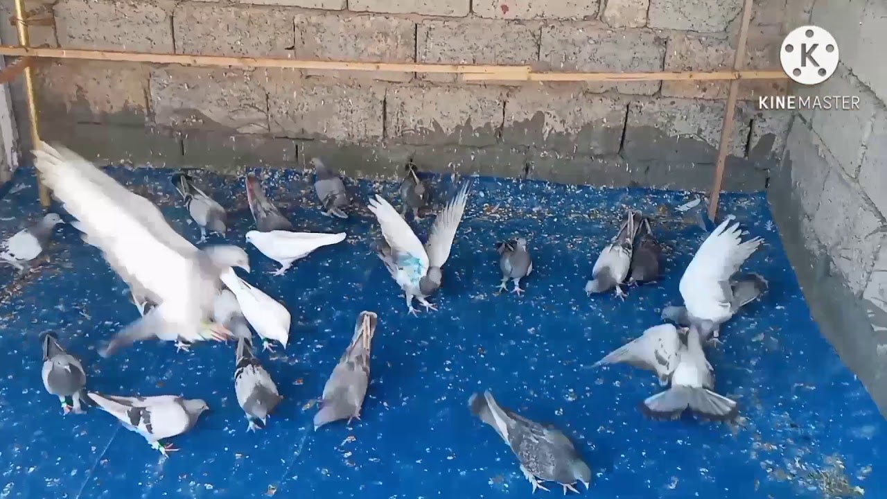 ٣٠ أكتوبر ٢٠٢٠