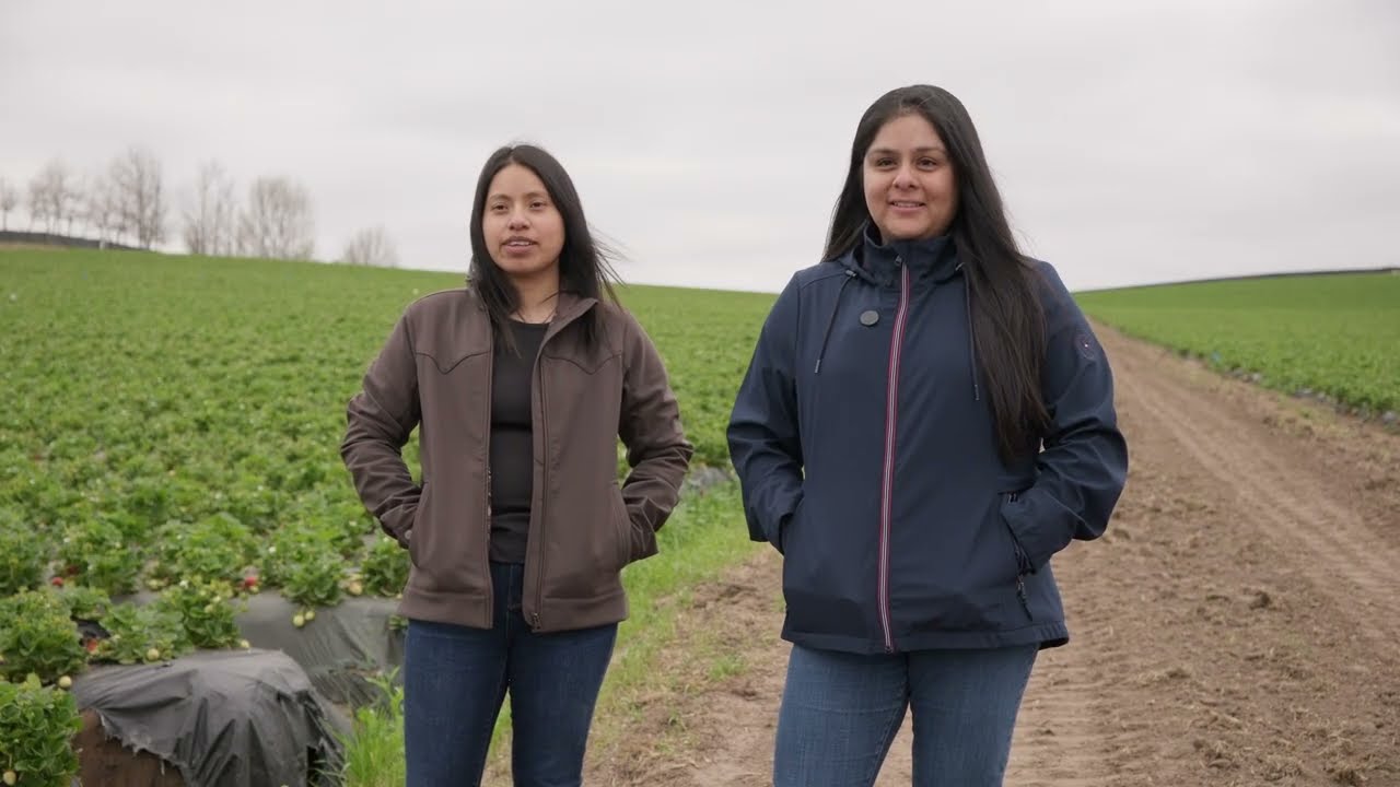 Strawberry Industry Grower of the Year Award: Providence Farms