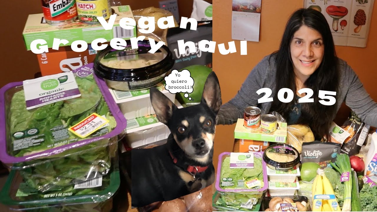 My First Epic Grocery Haul 2025 // 100% Vegan //Under $100.00