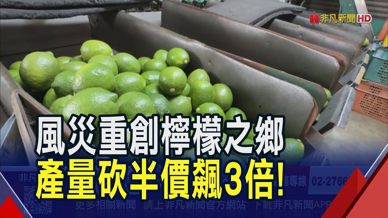 颱風重創屏東 檸檬產量僅剩1/2 每斤價格較同期漲近4成... 夏季檸檬用量漸增 店家喊苦!｜非凡財經新聞｜20260416