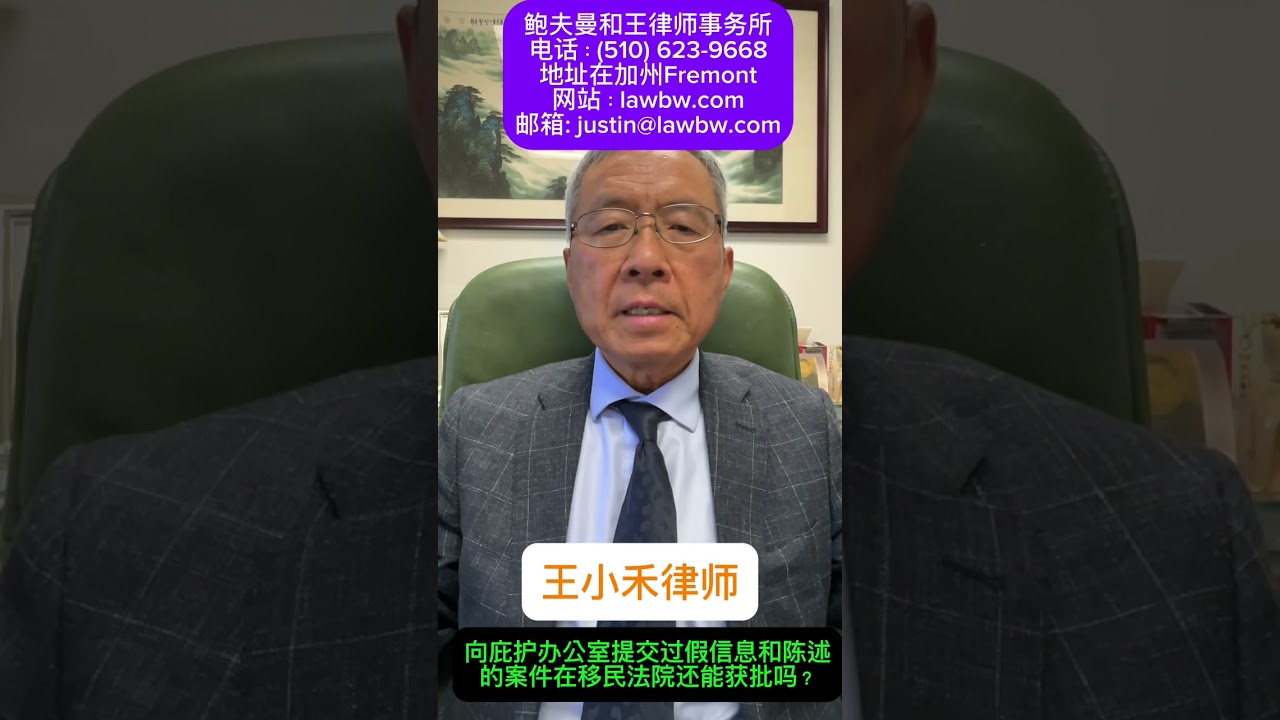 向庇护办公室提交过假信息和陈述的案件在移民法院还能获批吗？