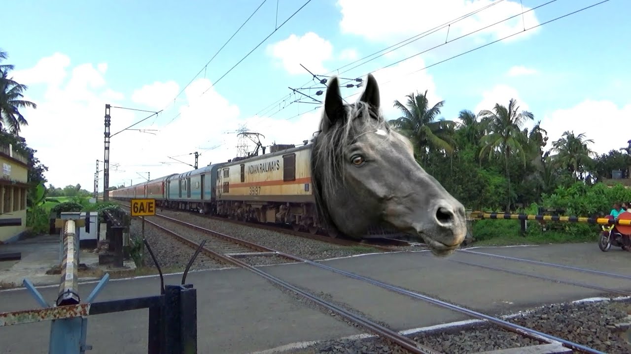 Dangerous Horse Headed Garibrath Express Furious Moving Throughout at Railgate 