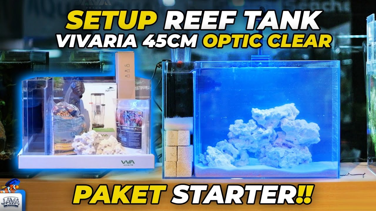 SETUP PAKET STARTER AKUARIUM AIR LAUT!