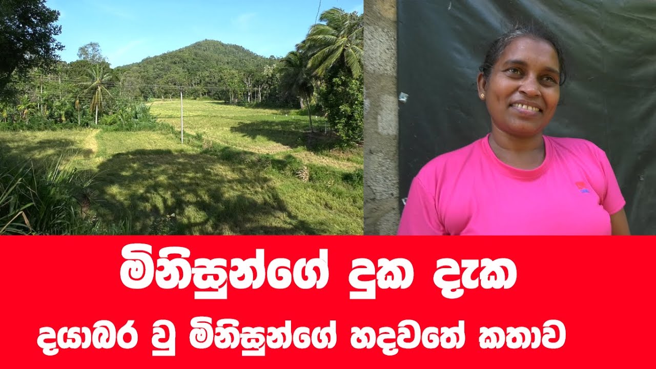 සෙවණක් සොයන මිනිසුන් කොතෙක් සිටි ද